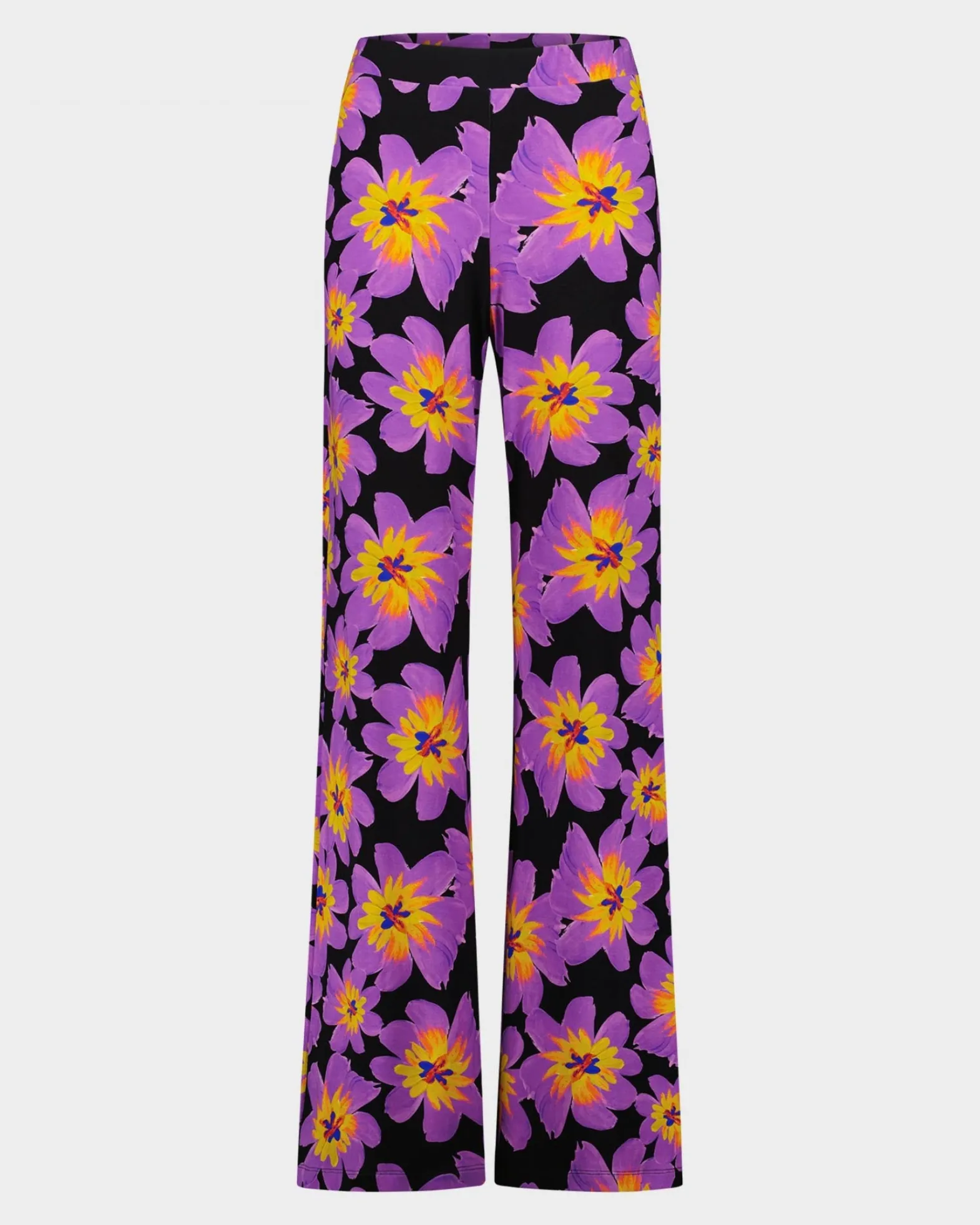 Josh Palazzo | Purple^STIEGLITZ Best Sale