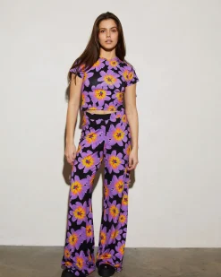 Josh Palazzo | Purple^STIEGLITZ Best Sale